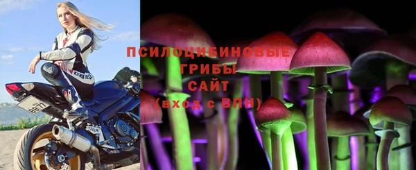 PSILOCYBIN Беломорск