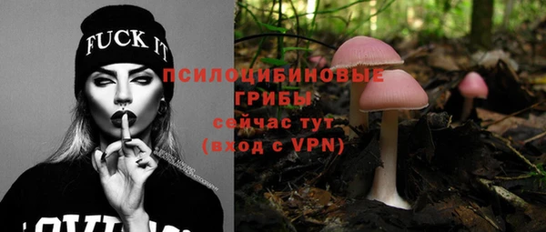 дурь Бронницы