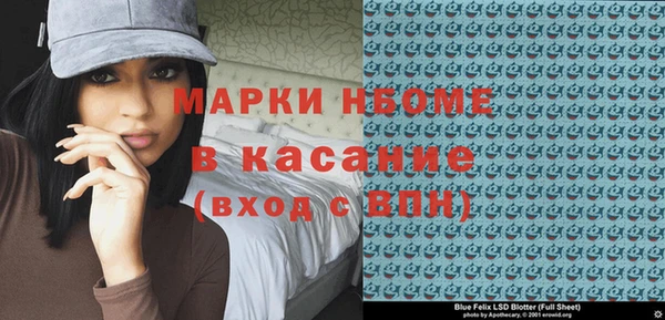 мдпв Бородино