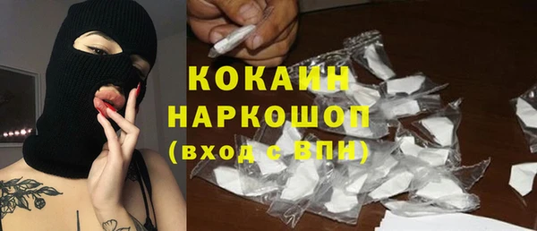 мдпв Бородино