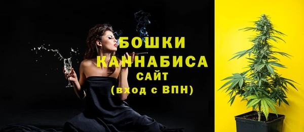 дурь Бронницы