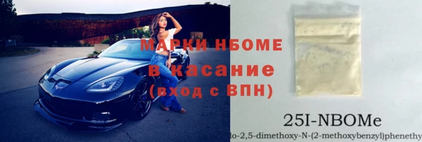 мдпв Бородино