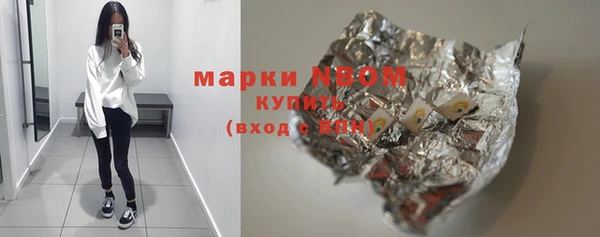 мдпв Бородино