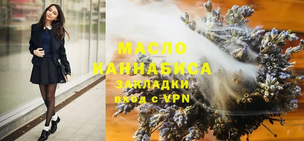 индика Грязи