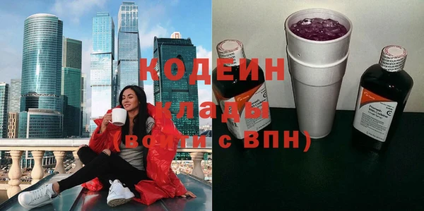 мдпв Бородино