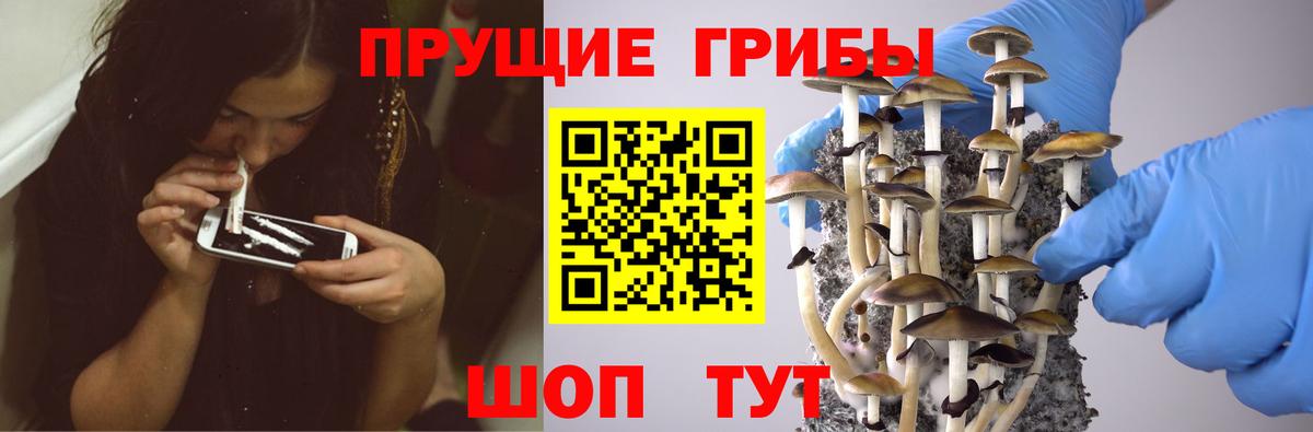 Галлюциногенные грибы прущие грибы  Вход с VPN  где можно купить наркотик  Вязники 