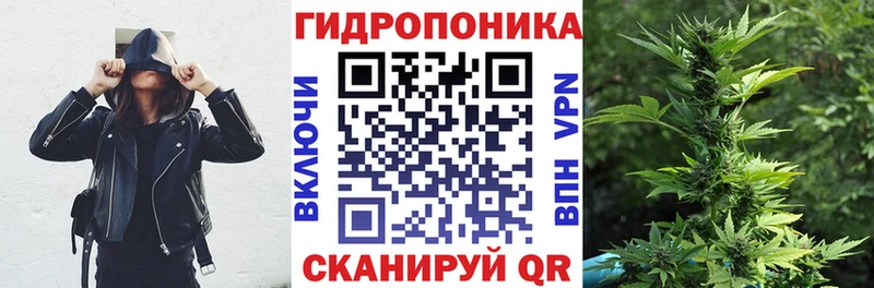 Бошки Шишки конопля  Вязники 